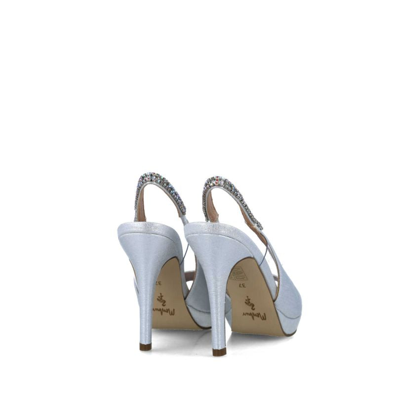 23731-DELPHINUS-SILVER