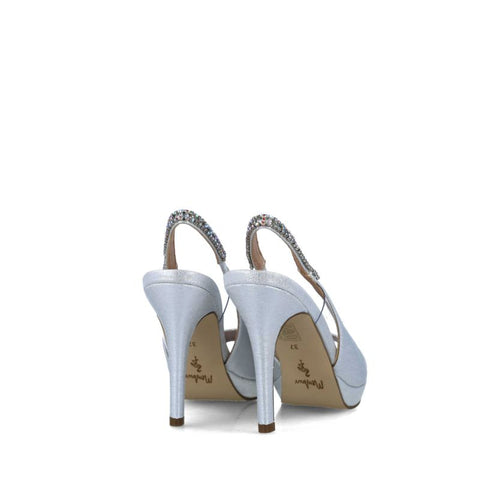 23731-DELPHINUS-SILVER