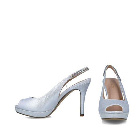 23731-DELPHINUS-SILVER