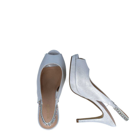 23731-DELPHINUS-SILVER